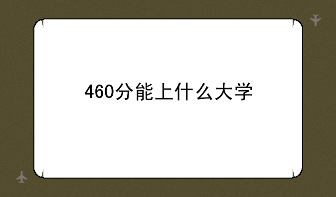 460分能上什么大学