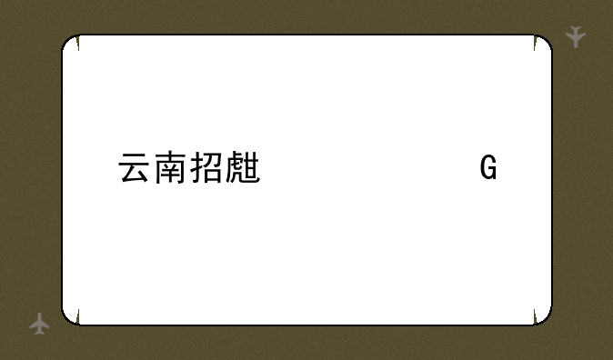 云南招生考频道