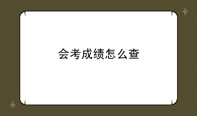 会考成绩怎么查