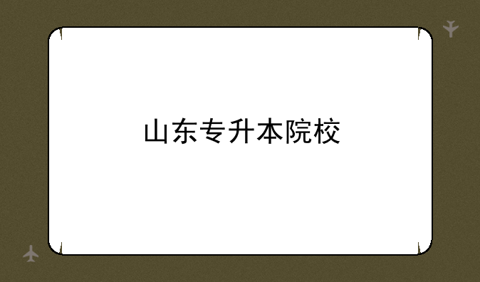 山东专升本院校