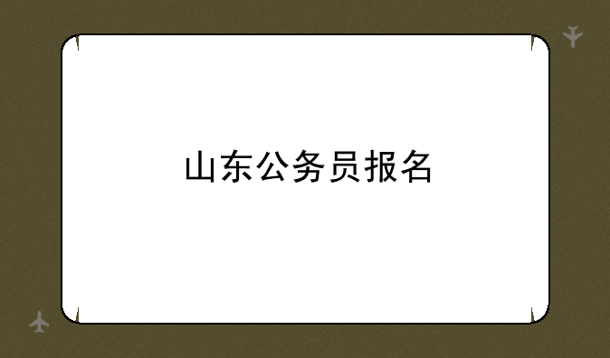 山东公务员报名