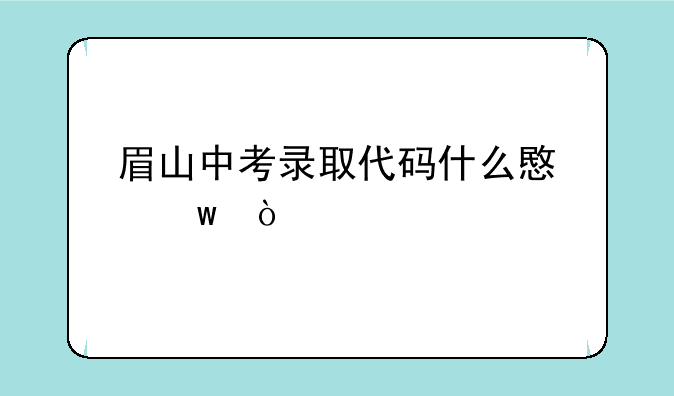 眉山中考录取代码什么意思？