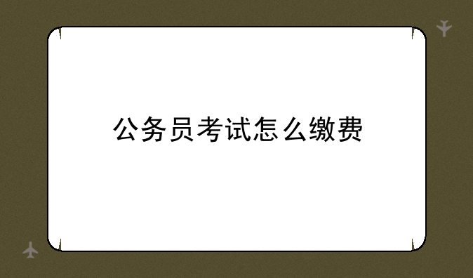 公务员考试怎么缴费