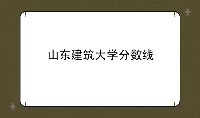 山东建筑大学分数线