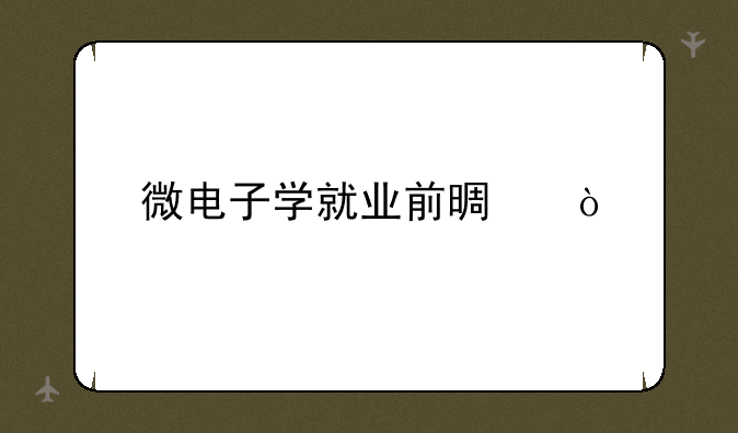 微电子学就业前景？