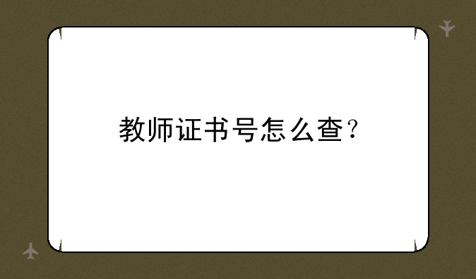 教师证书号怎么查？