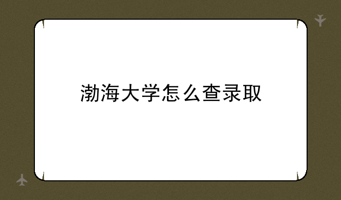 渤海大学怎么查录取