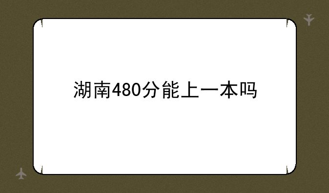 湖南480分能上一本吗