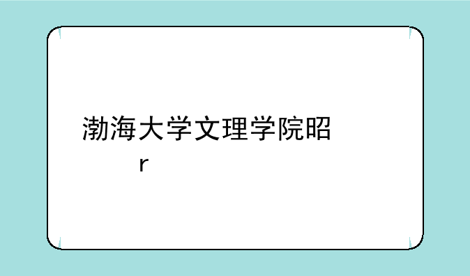 渤海大学文理学院是几本