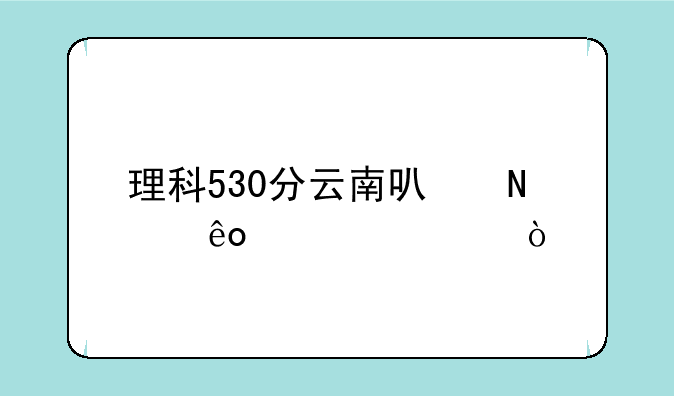 理科530分云南可哪些大学？