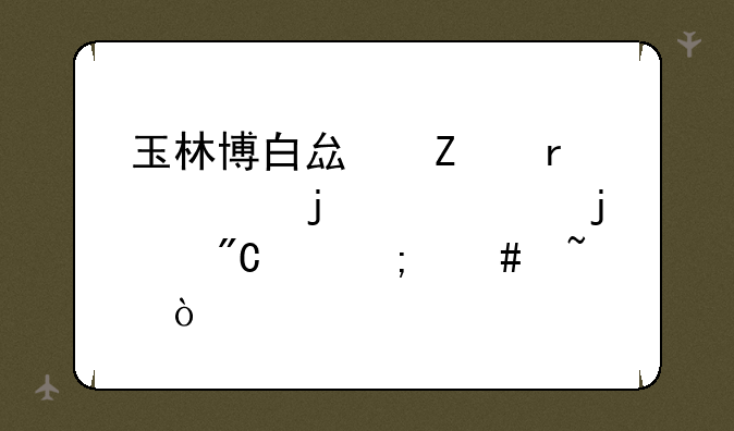 玉林博白县文地中学的中考的成绩怎么查？