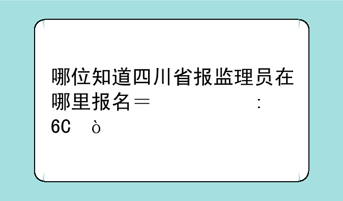 哪位知道四川省报监理员在哪里报名？求推荐！