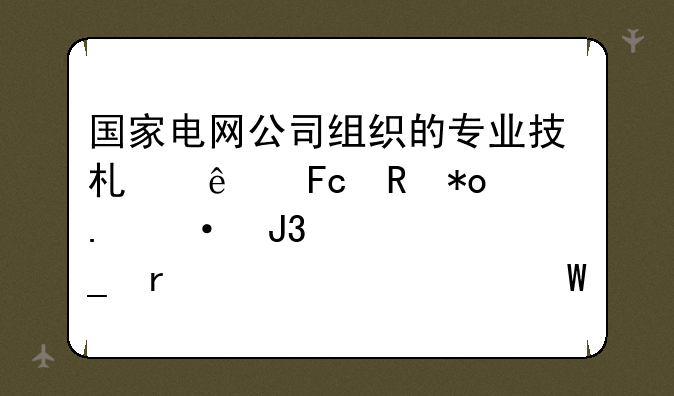 国家电网公司组织的专业技术人员电力英语和计算机水平考试，他们分别的难度如何