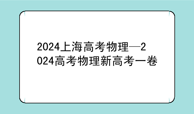 2024上海高考物理—2024高考物理新高考一卷