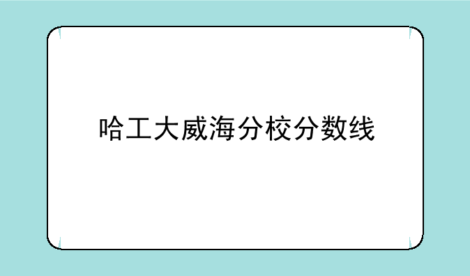 哈工大威海分校分数线