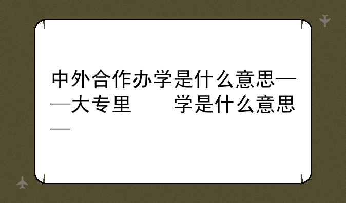 中外合作办学是什么意思——大专里的中外合作办学是什么意思
