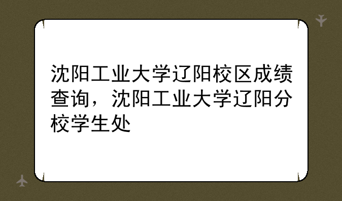 沈阳工业大学辽阳校区成绩查询，沈阳工业大学辽阳分校学生处