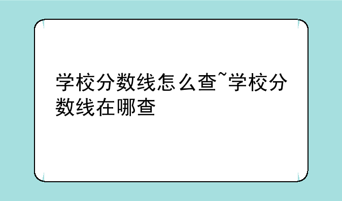 学校分数线怎么查~学校分数线在哪查